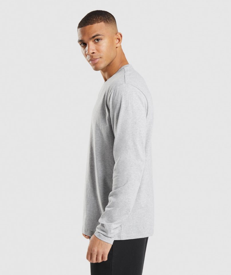 Koszulki Gymshark Crest Long Sleeve Męskie Głęboka Szare | PL 196GSQ